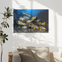 PO-030W020