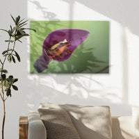 AL-030W020