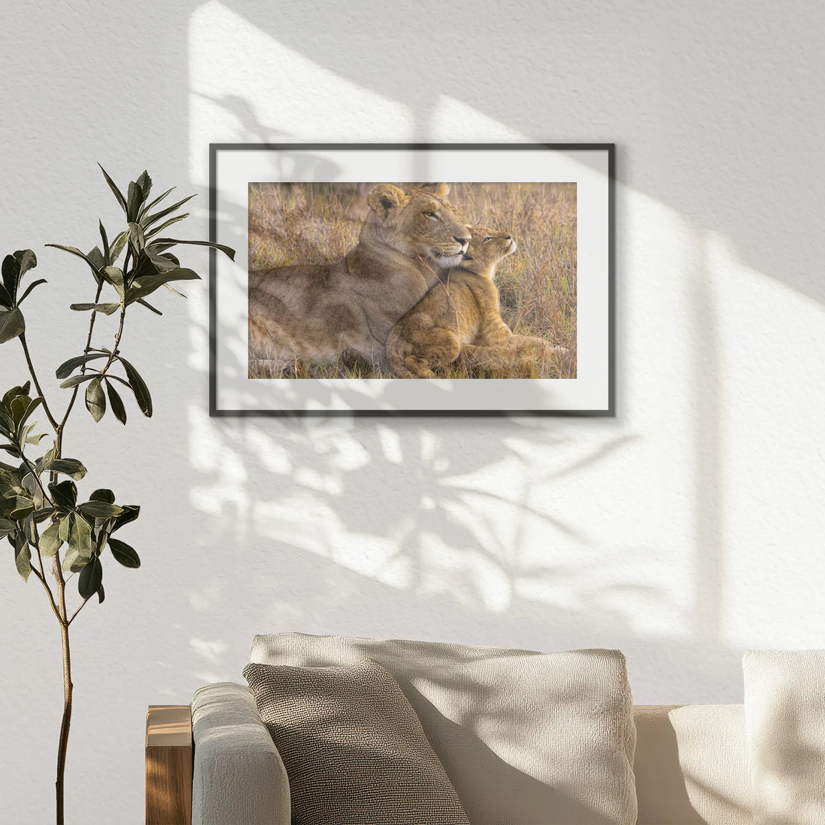 PBP060W040