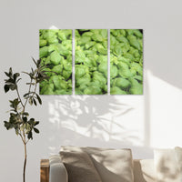 AL-120R080
