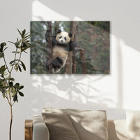 AC-060W040