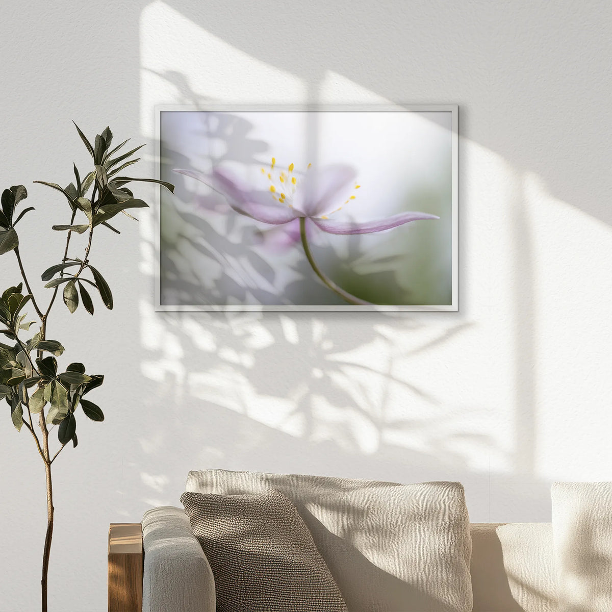 PW-093W062