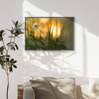 PK-093W062