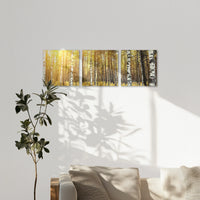 AC-150S050
