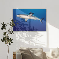 LW-120W080