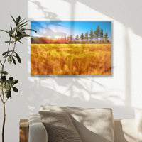 LW-045W030