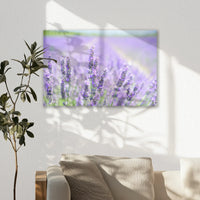 AL-060W040