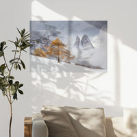 PO-090W060