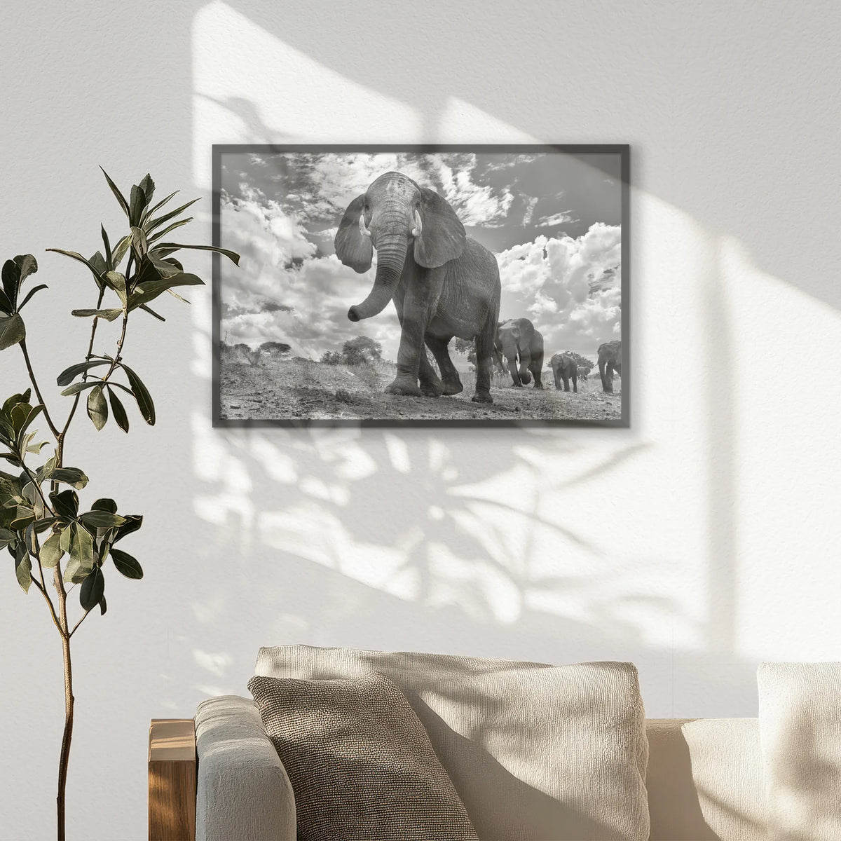 PK-093W062