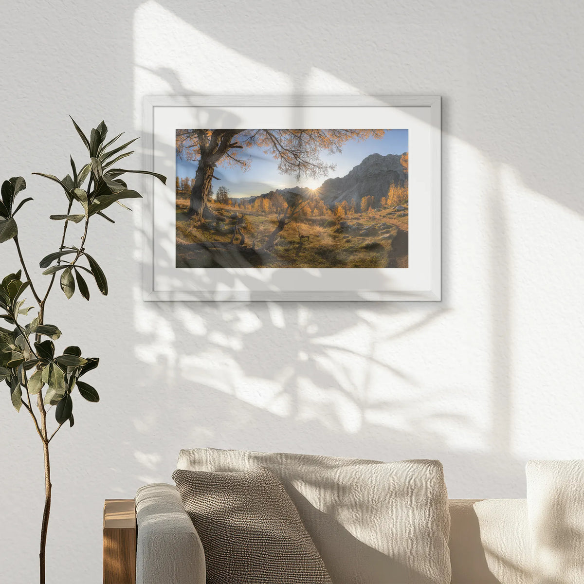 PWP060W040