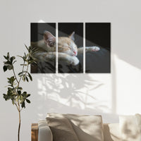 AC-120R080
