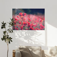 PO-120W080