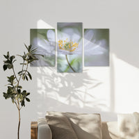 AC-120T080