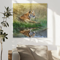 AC-030W030