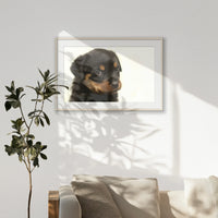 PNP100W070