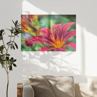 PO-075W050