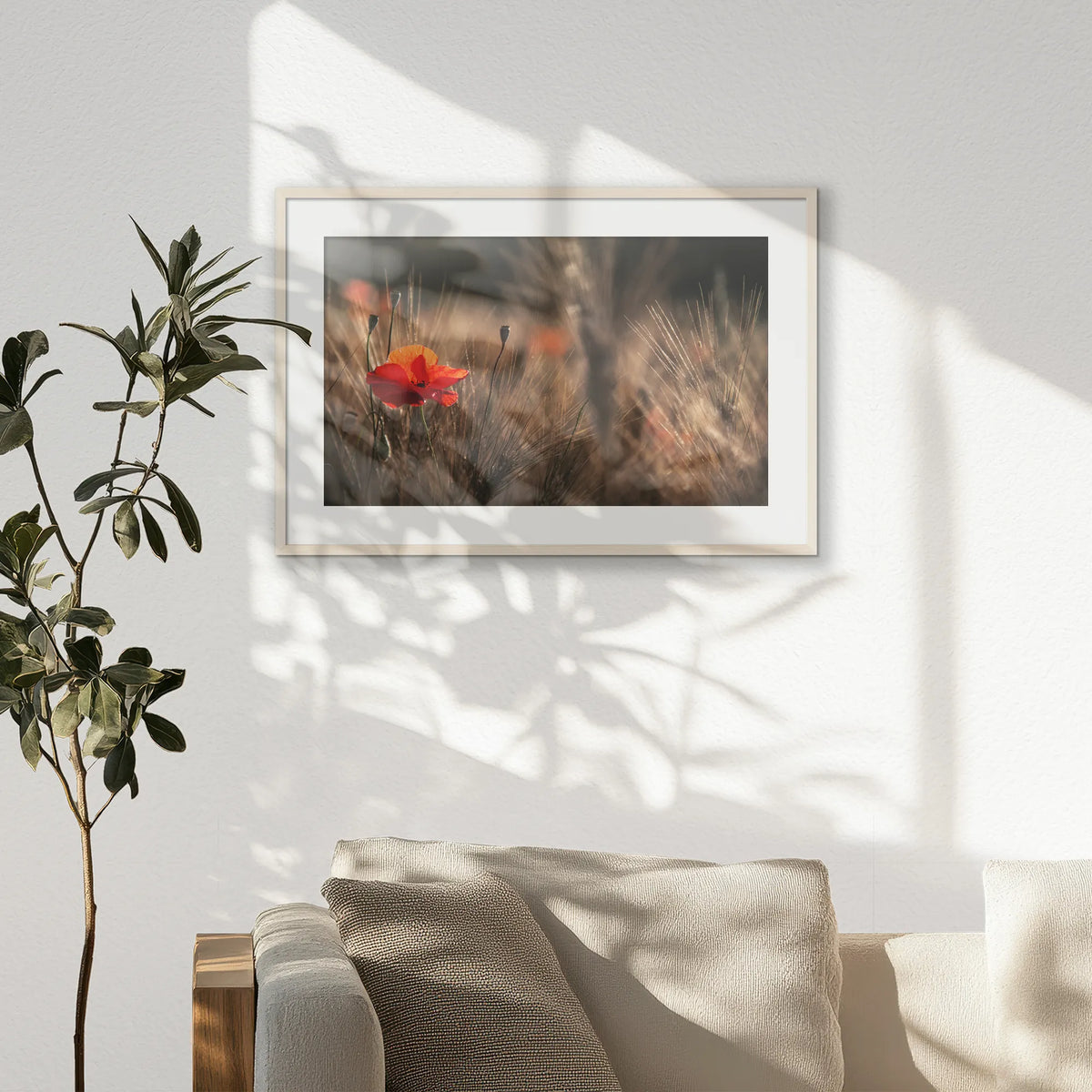 PNP093W062