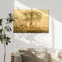 AC-075W050