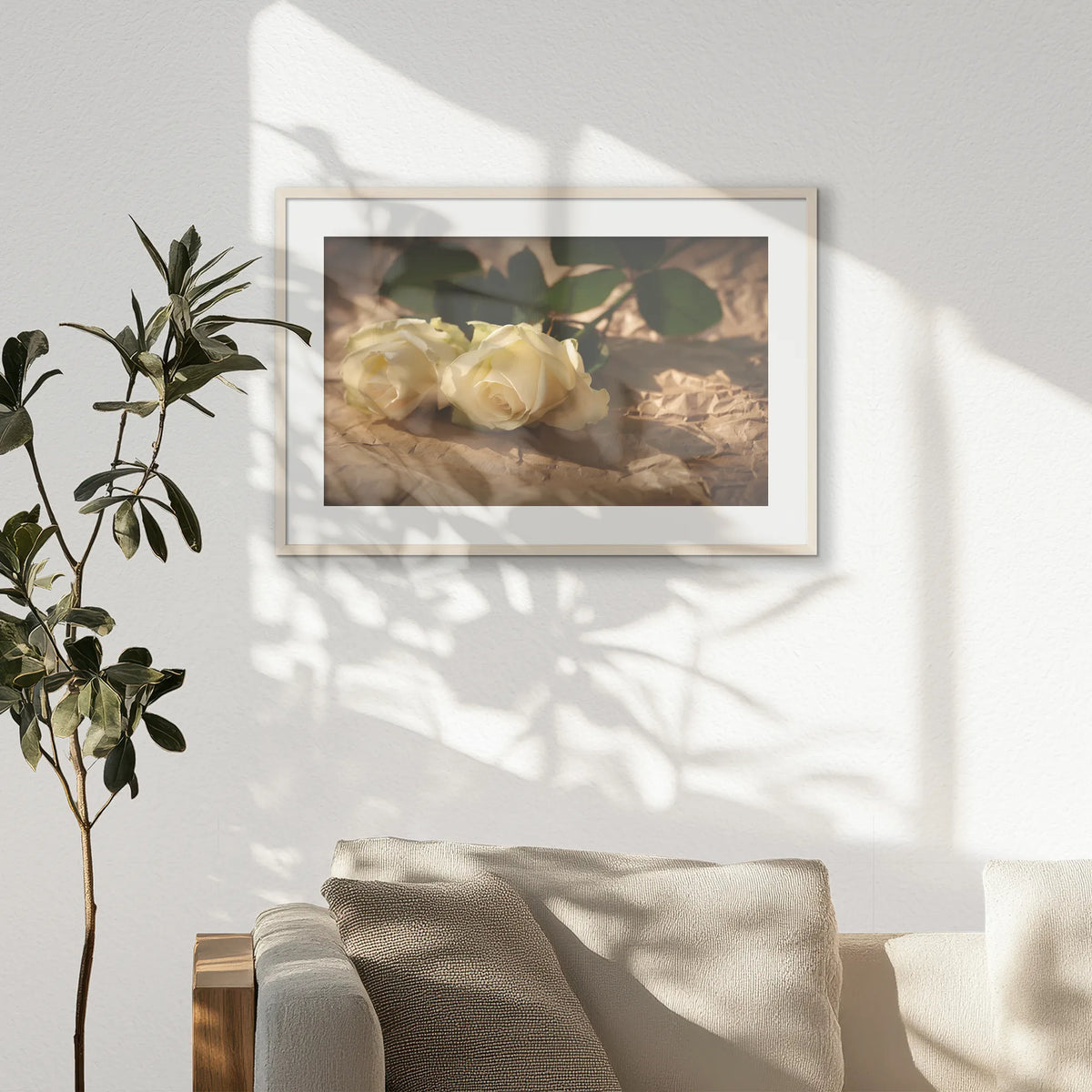 PNP093W062