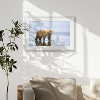 PWP093W062