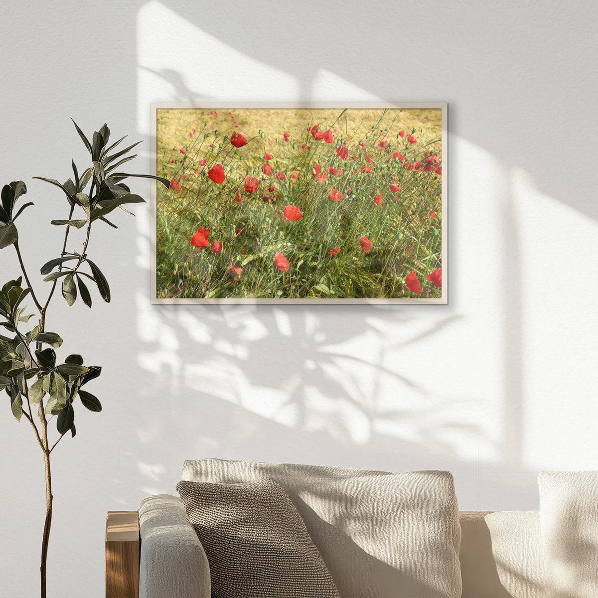 PN-093W062
