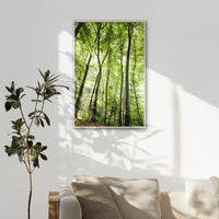 LWW080W120