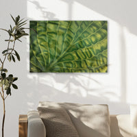 AL-045W030