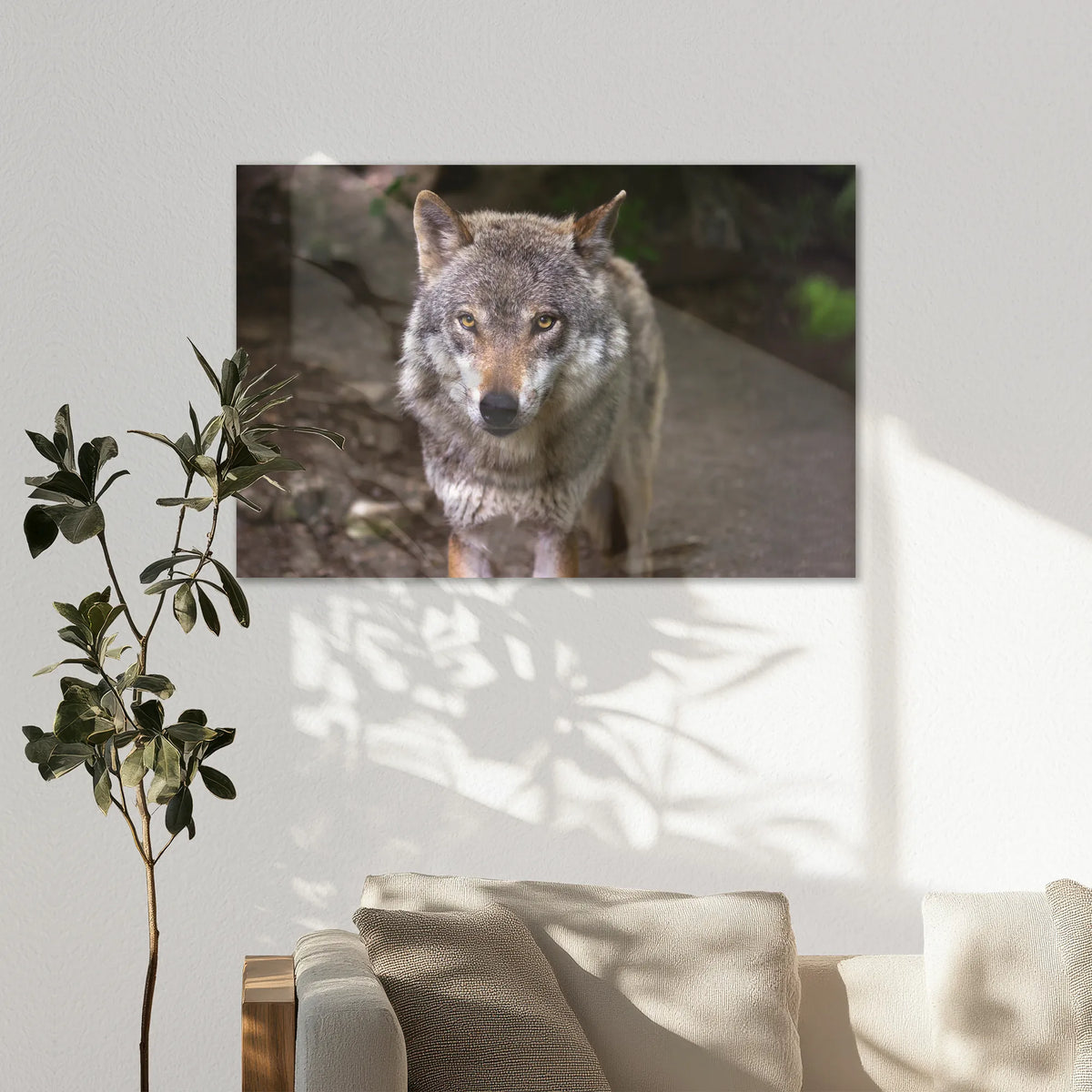 AL-120W080