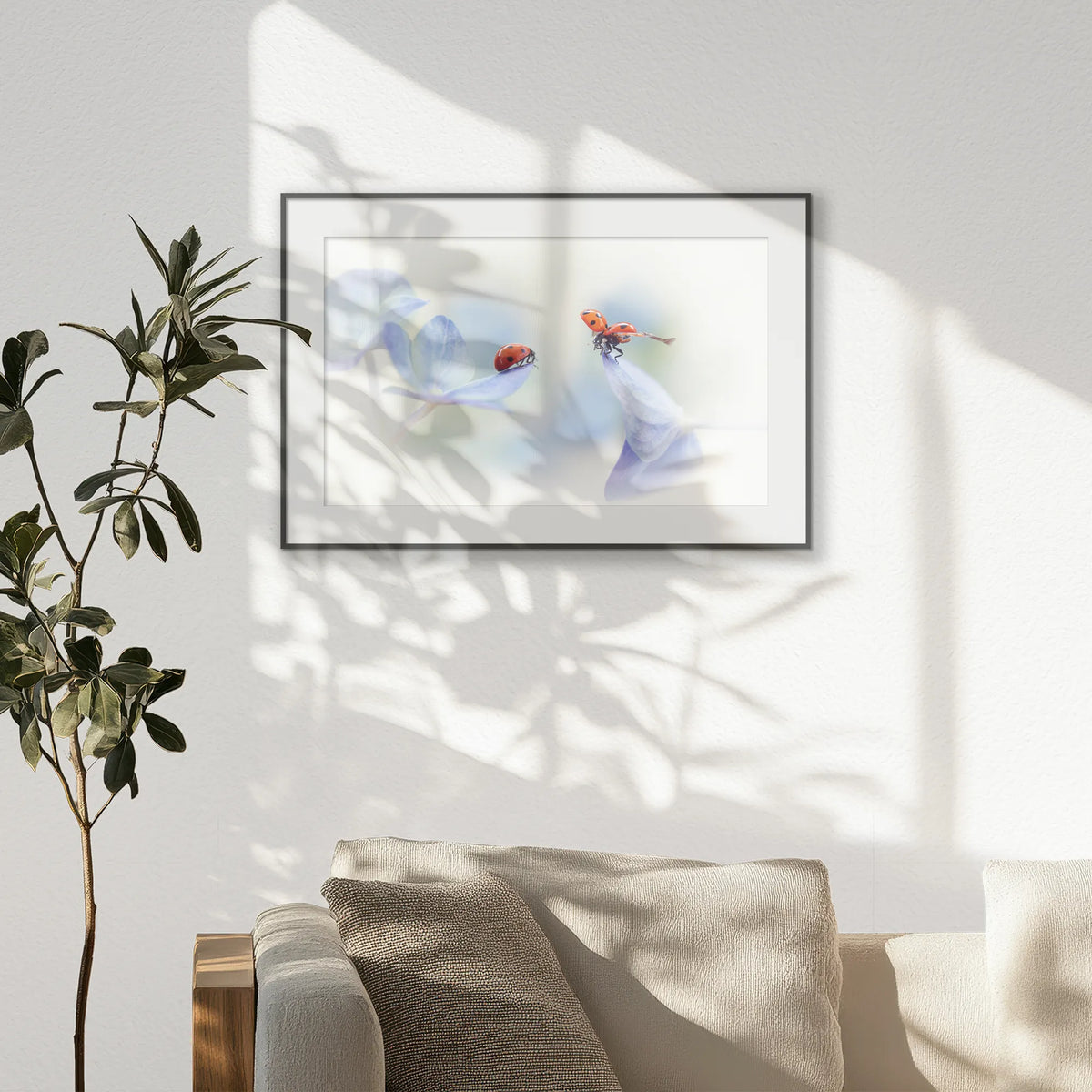 PBP093W062