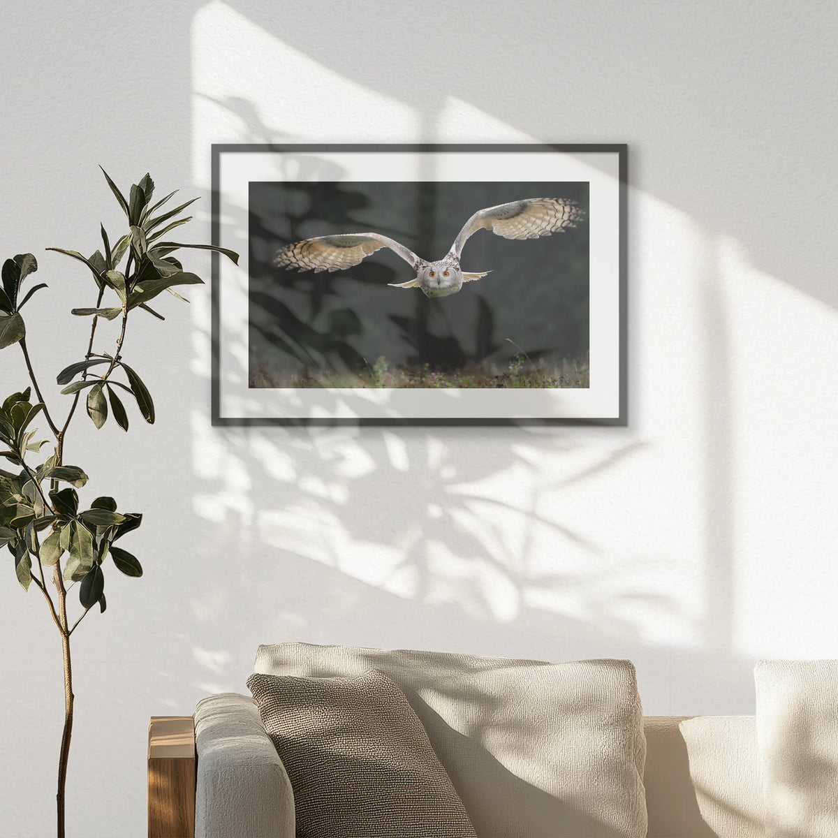 PKP093W062