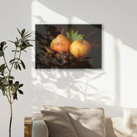 PB-093W062