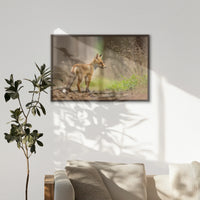LWN100W070