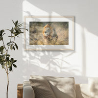 PNP060W040