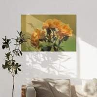 AC-120W080