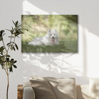 LW-060W040