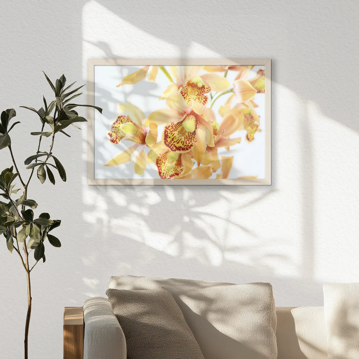 PN-060W040