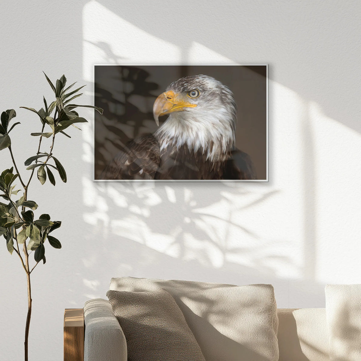 PS-093W062