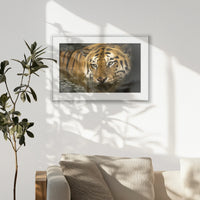 PSP093W062