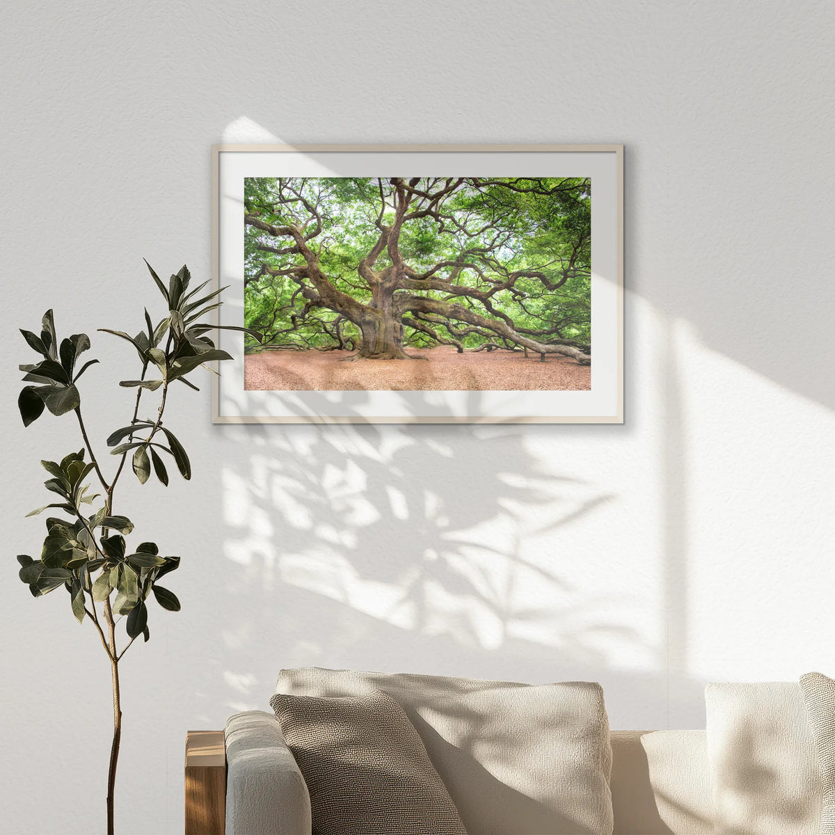 PNP100W070