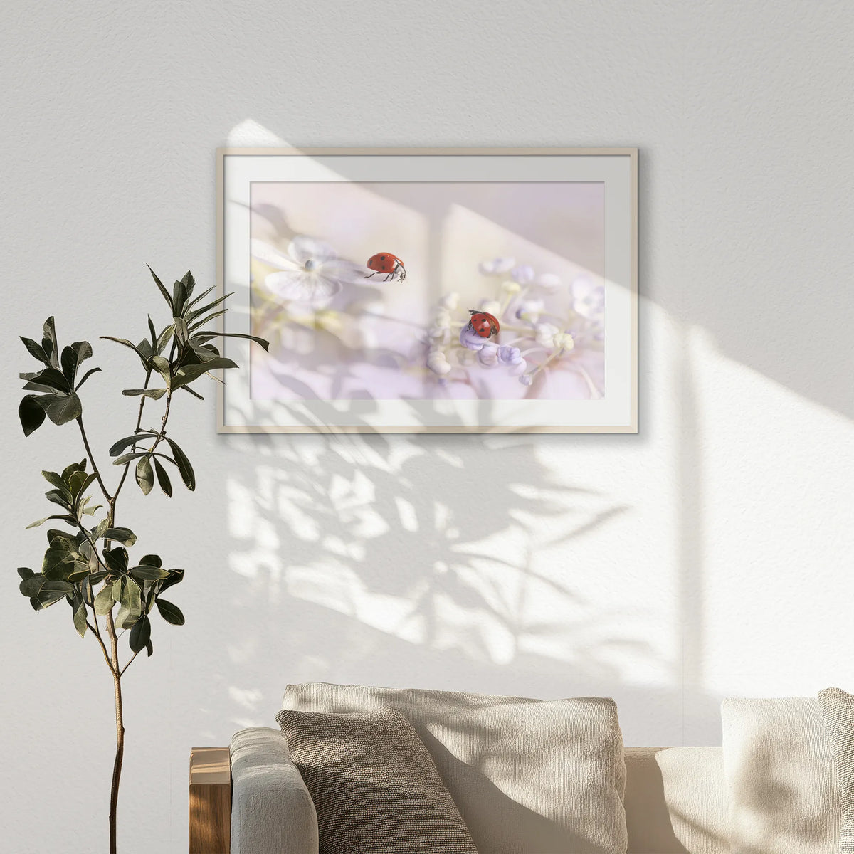 PNP100W070