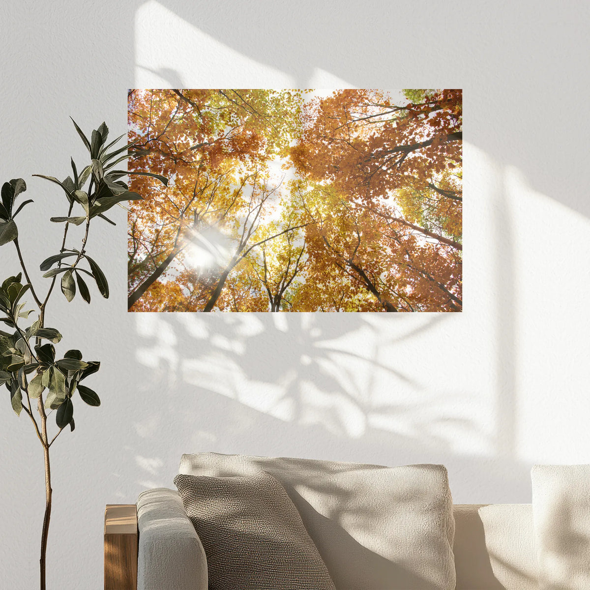 PO-090W060
