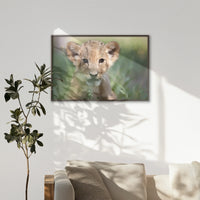 LWN120W080