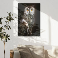 AL-050W075