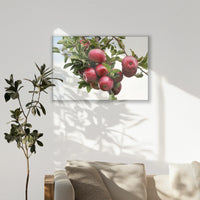 PS-120W080