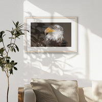 PNP060W040
