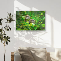 PS-093W062