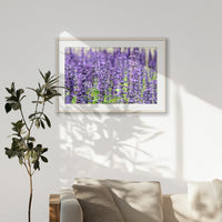 PNP100W070