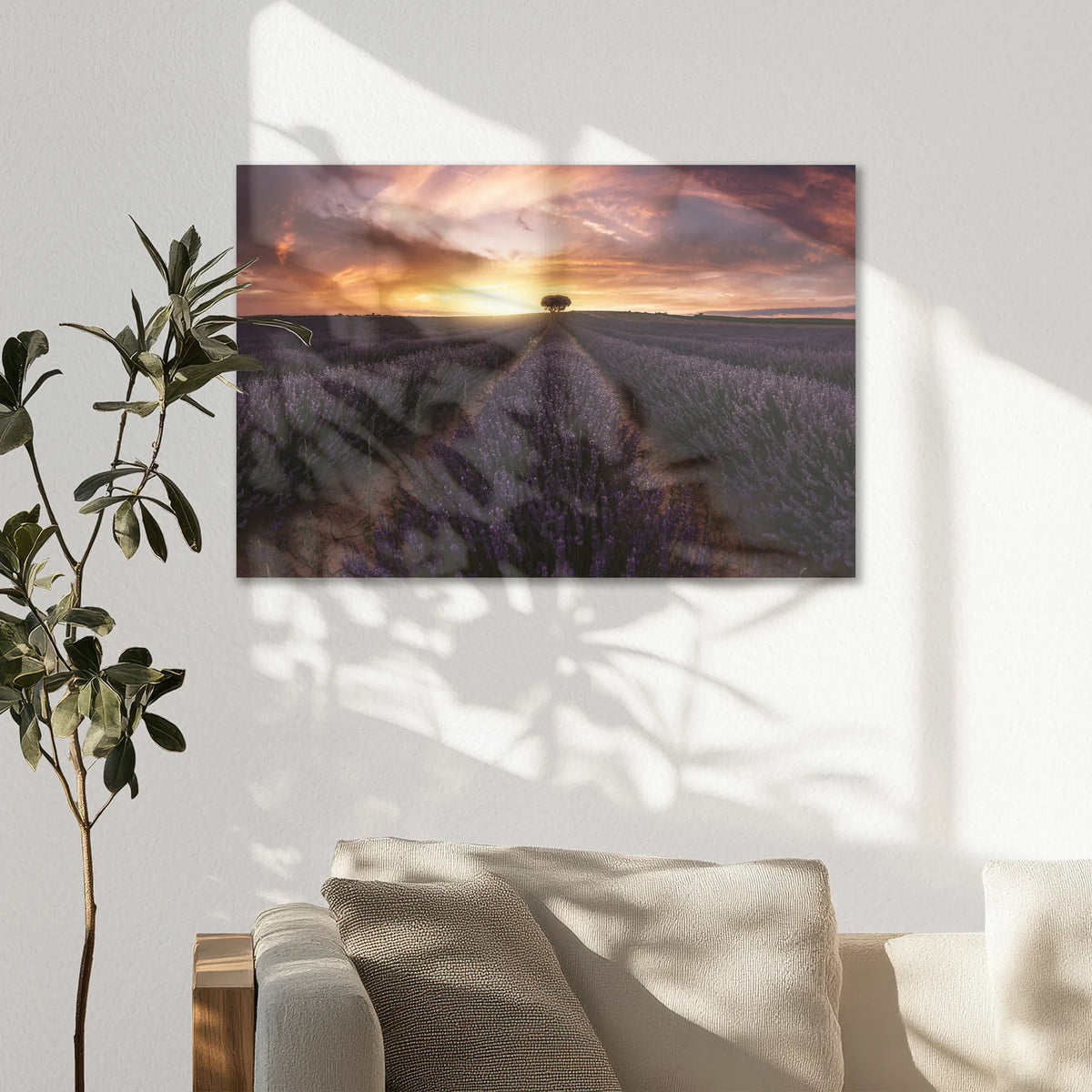 AC-075W050