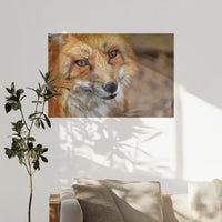 PO-120W080