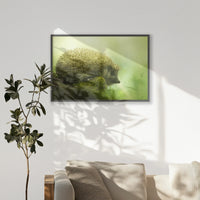 PK-100W070